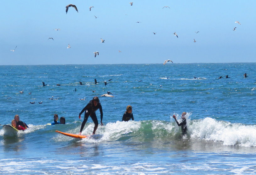 Passeggiate a cavallo sulla spiaggia vicina San Francisco Bay Area e Monterey.JPG